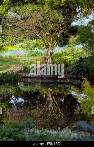 Teich bei Beth Chatto Gardens Stockfoto