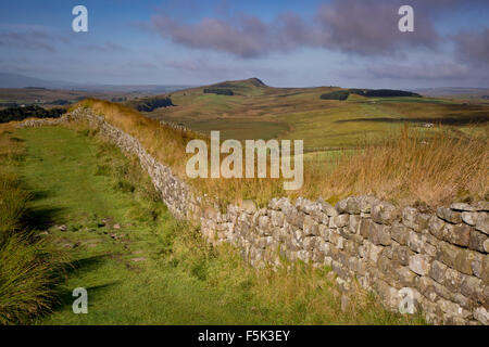 Morgendämmerung an der Hadrianmauer in der Nähe der römischen Festung in Housesteads, Northumberland, England, Großbritannien Stockfoto