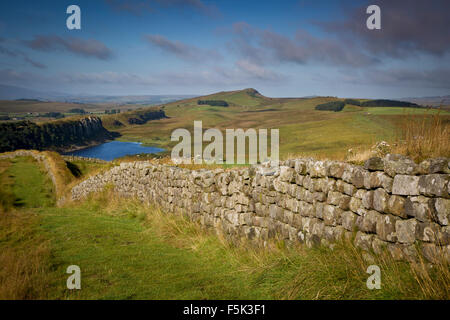 Morgendämmerung am Hadrianswall in der Nähe des römischen Kastells bei Housesteads, Northumberland, England Stockfoto