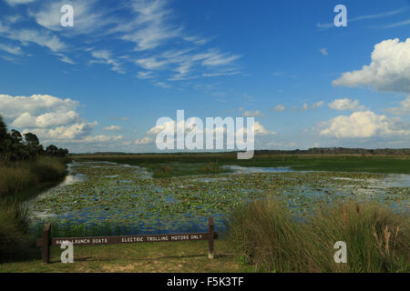 Ein Foto von einem Boot starten Bereich im St. Marks National Wildlife Refuge in Tallahassee in Florida, USA. Stockfoto