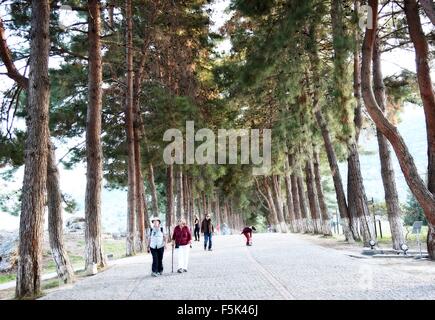 Ephesus 10. Jahrhundert v. Chr. archäologische Stätte Selcuk Izmir Türkei Stockfoto