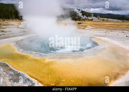 Crested Pool, Upper Geyser Basin, Yellowstone-Nationalpark, Wyoming, USA Stockfoto