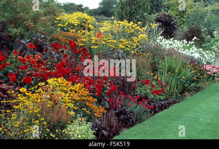 Gelbe Achillea und Rudbeckia in einer lebendigen großen Sommer-Grenze mit roten Dahlien in einem großen Garten county Stockfoto