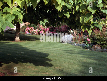 Frisch gemähtem Rasen und Grenze mit rosa Hortensien in großen Bauerngarten Stockfoto