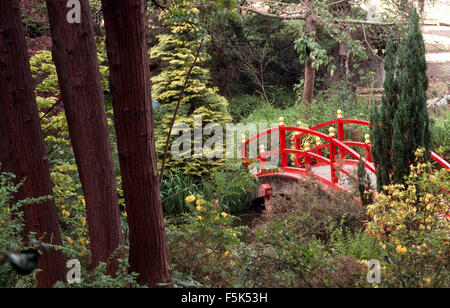 Roten chinesischen Stil Brücke über einen kleinen Bach mit Nadelbäumen wachsen auf der Bank in einem großen Land-Garten Stockfoto