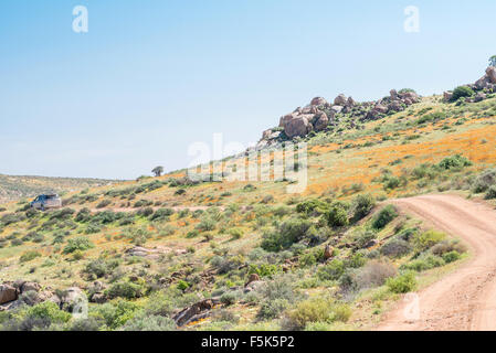 SKILPAD, Südafrika - 14. August 2015: das Dach des Namaqualandes Trail zwischen Skilpad und Soebatsfontein in der Namaqua Nationa Stockfoto