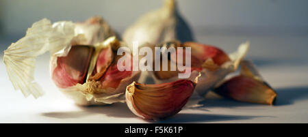 Knoblauch, Vegatable Knoblauchzehe, Gewürz, Italienisch, Zutat Stockfoto