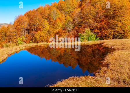 Reflexion des herbstlichen Bergwald in dem kleinen See. Stockfoto