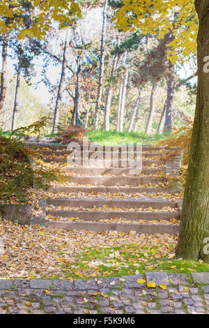 Herbstfarben und Laub auf Treppe im park Stockfoto