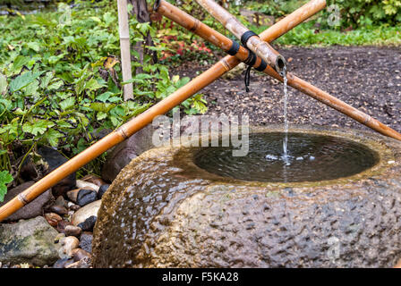 Tsukubai Springbrunnen Bambus Stiele im japanischen Garten Stockfoto