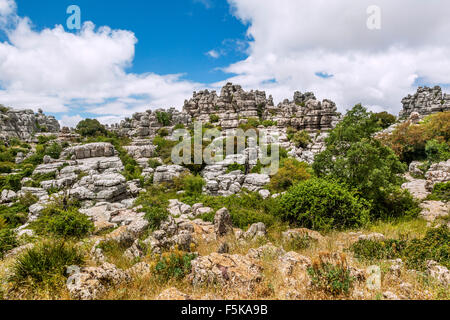 Spanien, Andalusien, Provinz Malaga, die karstigen Landschaft der Torcal de Antequera Stockfoto