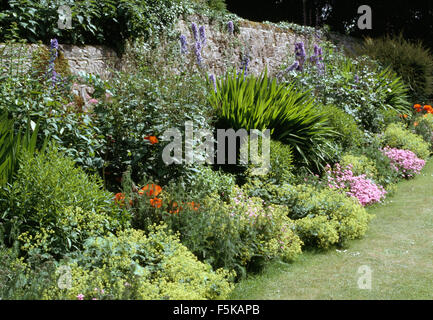 Lindgrün Alchemilla Mollis und Blauer Rittersporn in einen Rahmen in einen großen ummauerten Garten im Sommer Stockfoto