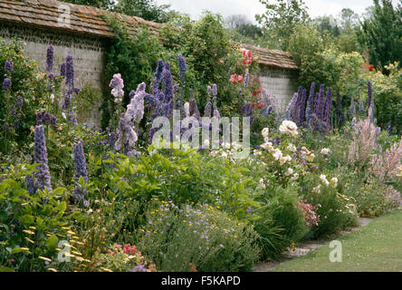 Großer Blauer Rittersporn und weiße Rosen im Sommer Grenze in großen ummauerten Garten Stockfoto