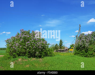 Sonnigen Frühlingstag im Dorf. Stockfoto