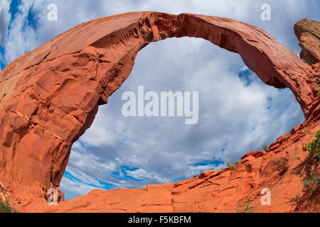 Royal oder Gregg Arch, Navajo Wildlands, Arizona Luckachukai Berge Stockfoto