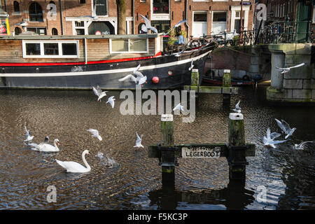 13. Januar 2014, ist Amsterdam, Niederlande Brouwersgracht eines der bekanntesten Grachten in Amsterdam. Stockfoto