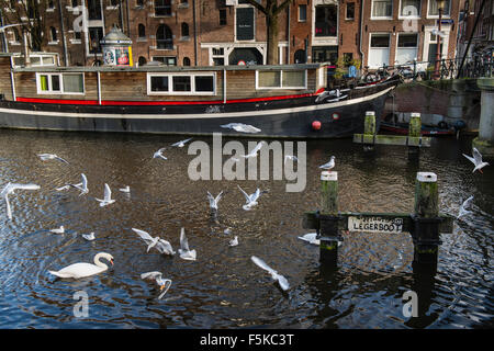 13. Januar 2014, ist Amsterdam, Niederlande Brouwersgracht eines der bekanntesten Grachten in Amsterdam. Stockfoto