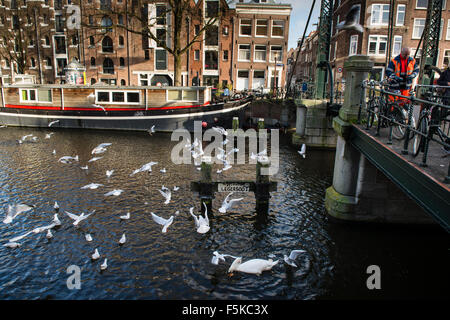 13. Januar 2014, ist Amsterdam, Niederlande Brouwersgracht eines der bekanntesten Grachten in Amsterdam. Stockfoto