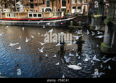 13. Januar 2014, ist Amsterdam, Niederlande Brouwersgracht eines der bekanntesten Grachten in Amsterdam. Stockfoto