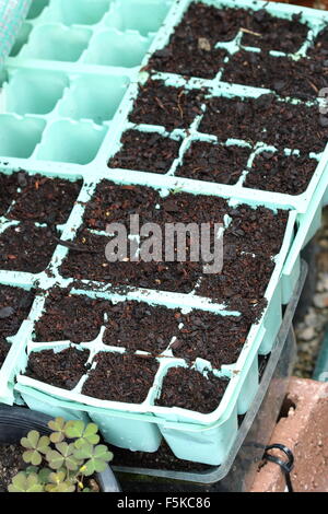 Samen Schale gefüllt mit Blumenerde mischen bereit für die Bepflanzung Stockfoto