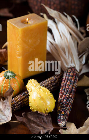 Orange Kürbisse, kleine Kürbisse und Mais auf einem Tisch als Thanksgiving Dekoration Stockfoto