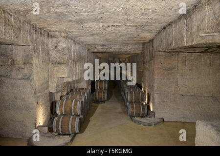 Fässer im Weinkeller-Bordeaux Vineyard Stockfoto