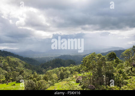 Stimmungsvolle Himmel machen für eine dramatische Kulisse gegen die grünen Land der Tana Toraja in Sulawesi, Indonesien Stockfoto