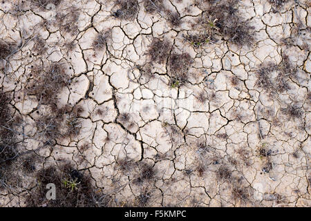 Trocknete aus Erde, Algarve, Portugal Stockfoto