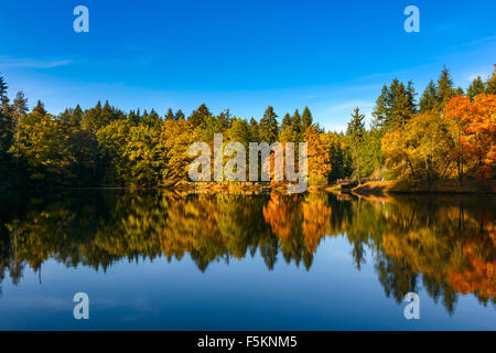 Prag, Pruhonice - Schloss-Park-Herbst am Teich Borin Stockfoto