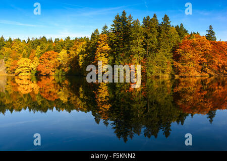 Prag, Pruhonice - Schloss-Park-Herbst am Teich Borin Stockfoto