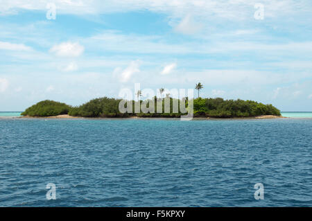 Die kleine, unbewohnte Insel im Indischen Ozean, Rasdhoo Atoll, Malediven Stockfoto