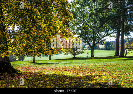 Die Parklandschaft auf dem Bowood Anwesen in Wiltshire im Herbst. Stockfoto