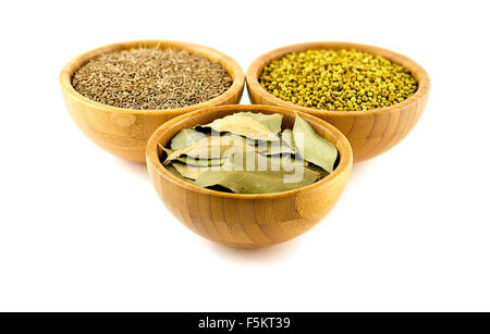 Traditionelle indische Küche Gewürz-Kombination Stockfoto