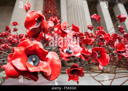 Liverpool, Merseyside, England. 6. November 2015. Die "Weinen" Mohn Fenstermontage in St. Georges Hall in Liverpool.  Die Skulptur wurde von Freiwilligen zum Gedenken an die gefallenen Helden zweier Weltkriege aufgebaut.  Der Mohn werden wie ein Fluss Mäander auf der Treppe von St. Georges Hall drapiert werden.  Das beeindruckende Display wird abgeschlossen & für Erinnerung Sonntag am 8. November vorgestellt. Bildnachweis: Cernan Elias/Alamy Live-Nachrichten Stockfoto