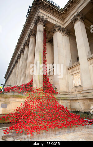 Liverpool, Merseyside, England. 6. November 2015. Die "Weinen" Mohn Fenstermontage in St. Georges Hall in Liverpool.  Die Skulptur wurde von Freiwilligen zum Gedenken an die gefallenen Helden zweier Weltkriege aufgebaut.  Der Mohn werden wie ein Fluss Mäander auf der Treppe von St. Georges Hall drapiert werden.  Das beeindruckende Display wird abgeschlossen & für Erinnerung Sonntag am 8. November vorgestellt. Bildnachweis: Cernan Elias/Alamy Live-Nachrichten Stockfoto