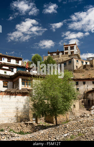 Himachal Pradesh, Indien, Spiti Valley, Kibber, hoch gelegenen Dorf, Häuser Stockfoto