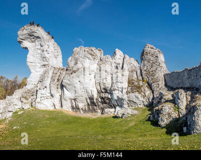 Lime Ausreißer Felsformation eine von vielen, die in der Krakau-Czestochowa-Upland, auch bekannt als Polnisch Jurasic Highland finden Stockfoto