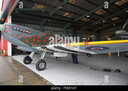 Biggin Hill, UK. 6. November 2015. Spitfire TR9 MJ627 war verziert mit Mohnblumen in Biggin Hill bereit für einen Überflug am Sonntag als fliegende Hommage an all diejenigen, die starben oder erlitten während der beiden Weltkriege jede Seite hat 75 Mohn auf dem Rumpf Credit: Keith Larby/Alamy Live News Stockfoto