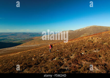 Invereshie und Inchriach National Nature Reserve aus Carn Verbot Mor, Glen Feshie, Cairngorm National Park Stockfoto