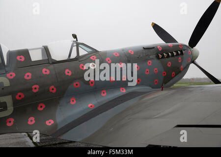 Biggin Hill, UK, 6. November 2015, Spitfire TR9 MJ627 war verziert mit Mohnblumen in Biggin Hill bereit für einen Überflug am Sonntag als fliegende Hommage an all diejenigen, die starben oder erlitten während der beiden Weltkriege jede Seite hat 75 Mohn auf der Fuselag Credit: Keith Larby/Alamy Live News Stockfoto