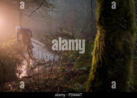 Junge männliche Mountainbiker fahren über Wald rock Stockfoto