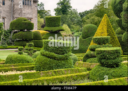 Levens Hall, Cumbria, UK. Eine späte 16c Herrenhaus berühmt für seine exzentrischen topiary Garten im Besitz der Familie Bagot Stockfoto