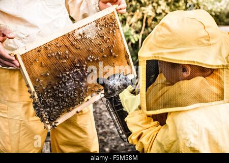 Junge Imker Kleid mit Biene Raucher Stockfoto