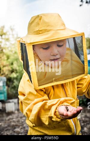 Junge Imker Kleid hält Drohne Biene in der hand Stockfoto