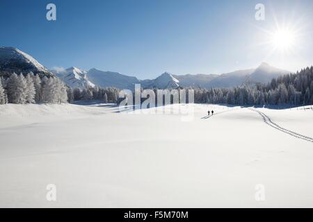 Gebirge, Bäume und älteres paar weit weg in verschneiter Landschaft, Sattelbergalm, Tirol, Österreich Stockfoto