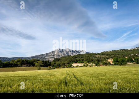 Die "Montagne Sainte Victoire" Kalkberge (Südost-Frankreich) Stockfoto