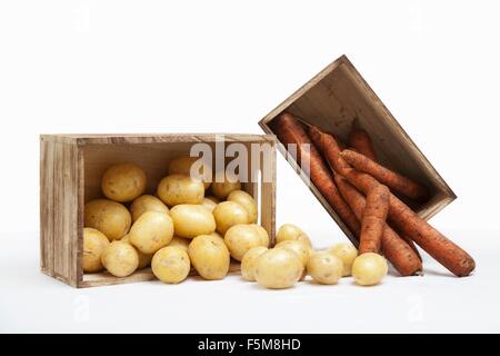 Holzkisten, gefüllt mit frischen Karotten und Kartoffeln Stockfoto