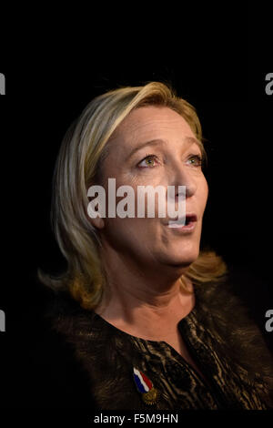 Lyon (Südost-Frankreich): XV Kongress der französischen Front National ("Front National") (2014/11/29) Stockfoto