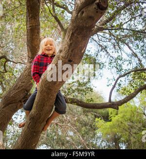 Kleiner Junge sitzt im Baum, niedrigen Winkel Ansicht Stockfoto