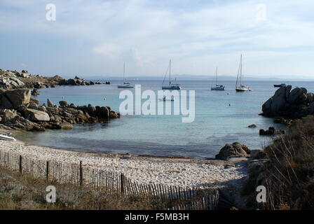 Yachten vor Anker in der Cala di Giunco, Lavezzi Insel, Corsica Stockfoto